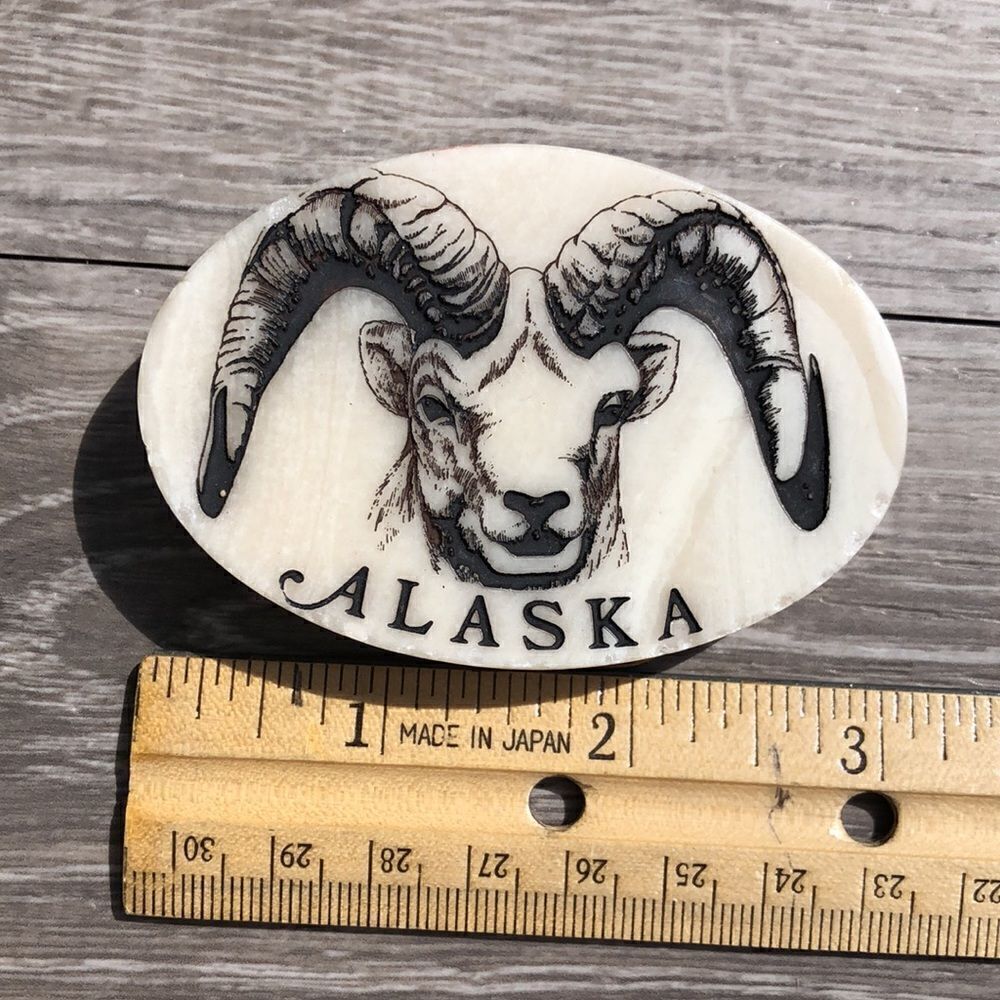 Dall sheep belt buckle - Picture 3 of 4